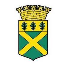 Flens kommun
